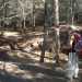 Inoltre  stata realizzata la segnaletica orizzontale: segnavia disegnati con vernice bianca e rossa su alberi...